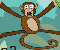 Jungle Spider Monkey